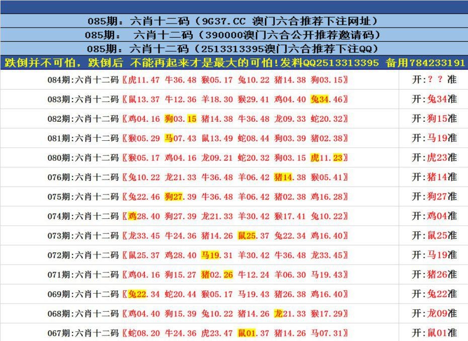 澳彩资料网正版图片大全免费