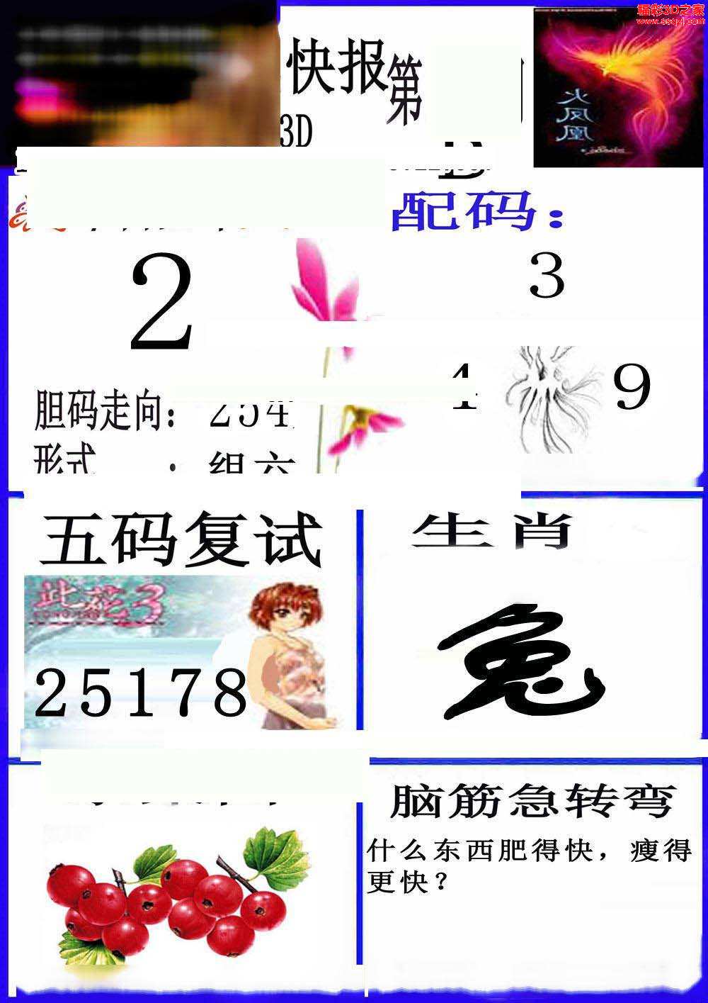 澳彩网49图库	